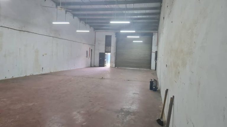 WhatsApp-Image-2025-04-30-at-11.51