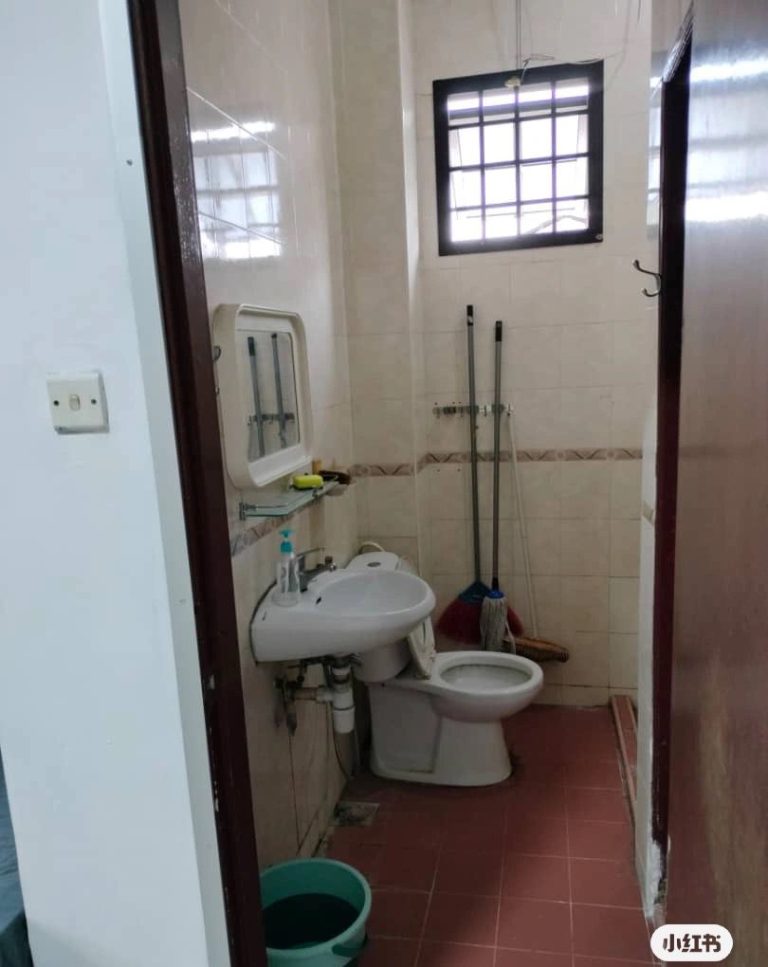 WhatsApp-Image-2024-11-12-at-3.01