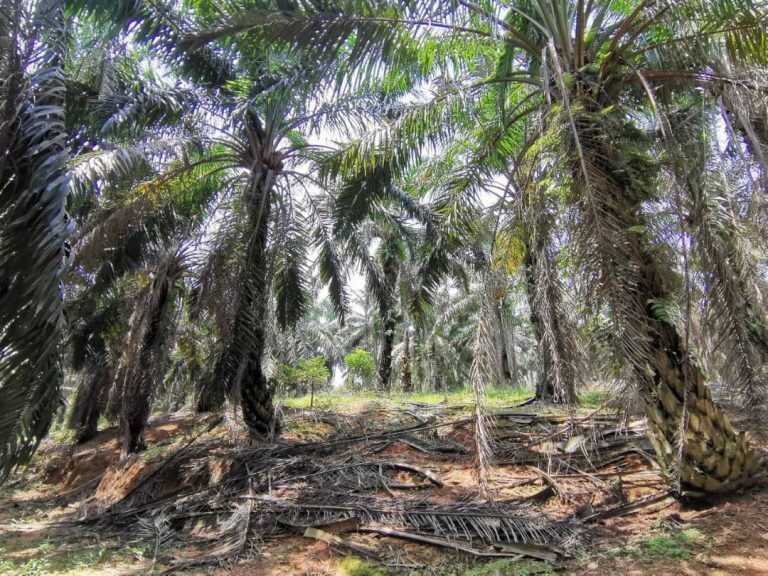 WhatsApp-Image-2025-04-09-at-08.20